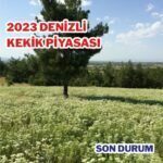 Denizli'de kekik piyasasında son durum işte detaylar