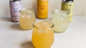 evde kombucha yapimi adim adim tarif ve ipuclari