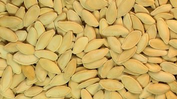 kabak cekirdegi sutu nasil yapilir vegan tarif 3